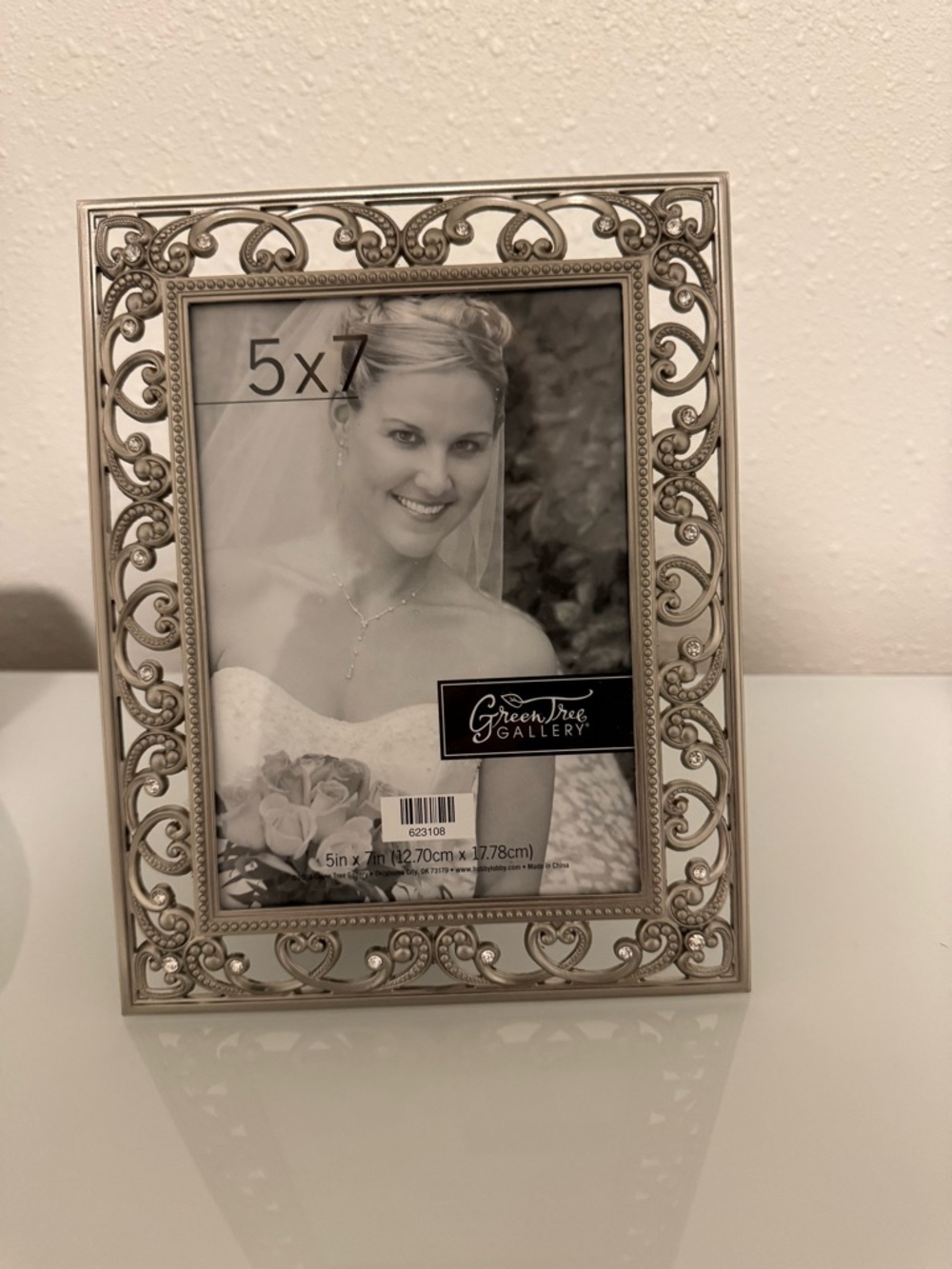 Ornate Silver 5x7 Photo Frame